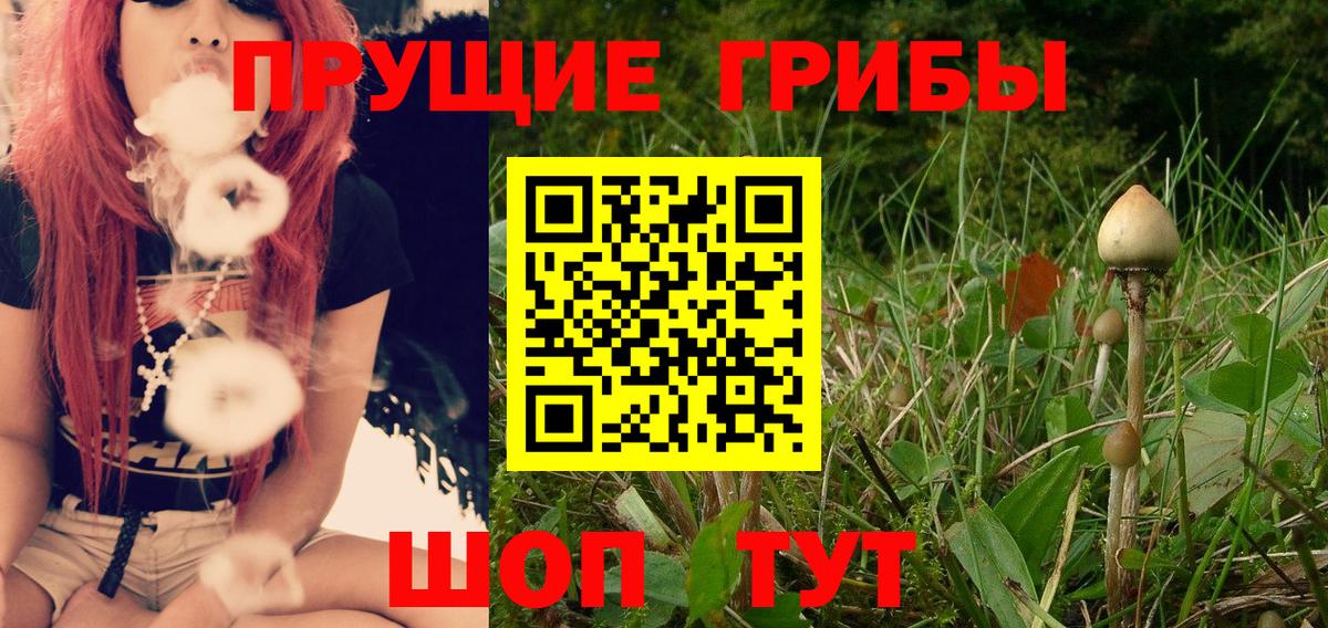 Псилоцибиновые грибы Cubensis  Вход с VPN  Калач-на-Дону 